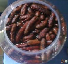 chuoi-hot-rung_zpsaafa9d4f.jpg chuoi-hot-rung_zpsaafa9d4f.jpg