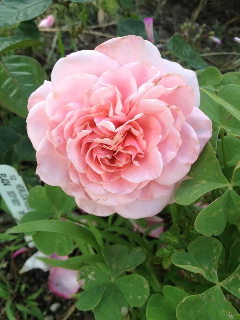 Bishop's Castle photo IMG_3238_zps0d072cc4.jpg