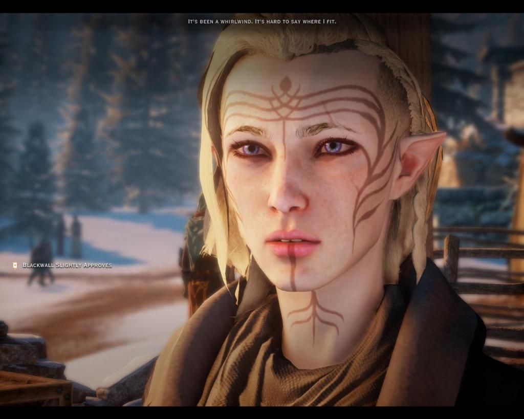 DragonAgeInquisition2014-11-3014-34-28-9