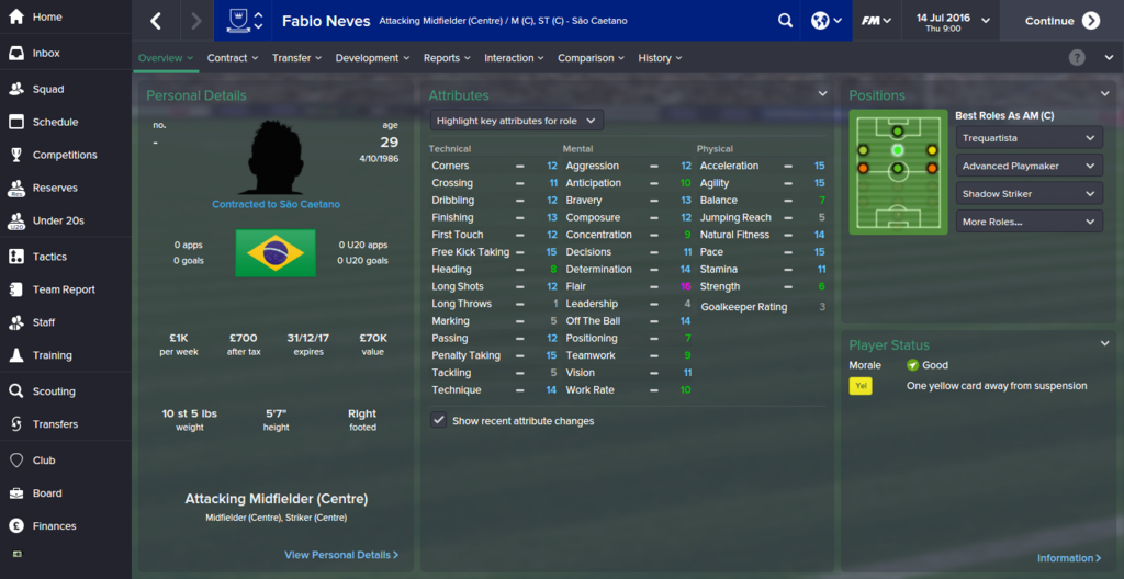 Fabio%20Neves_%20Overview%20Profile_zpsrbdz0xbh.png