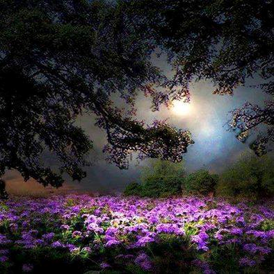  photo Sin tiacutetulo_zpseyb7cuoq.png