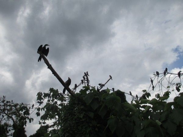 a101_zpsbd927751.jpg