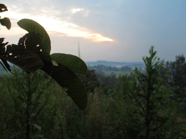 a493_zpse3900360.jpg