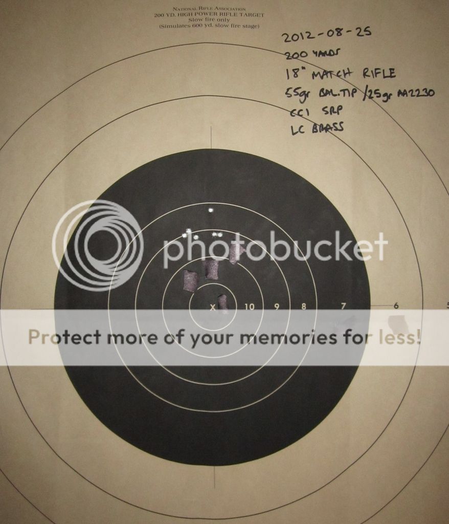 Loading for accuracy with a RDS - AR15.COM