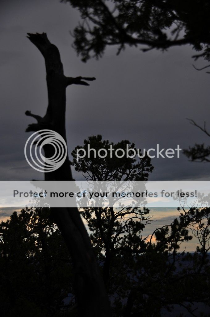 DSC_8210_zpst0rze9lv.jpg