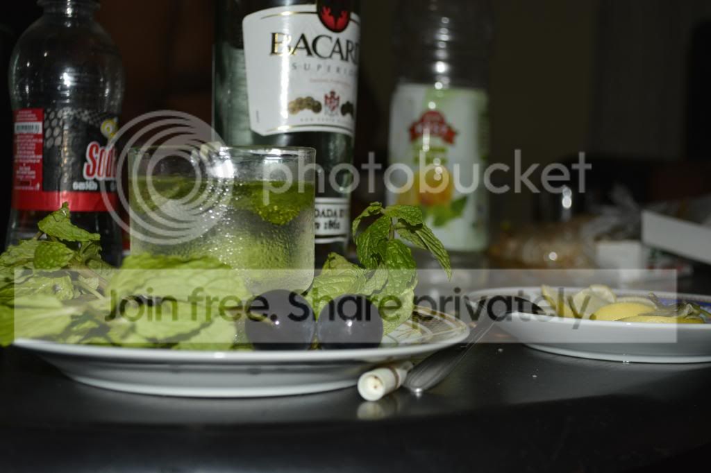 _DSC0095_zps814c3ee0.jpg